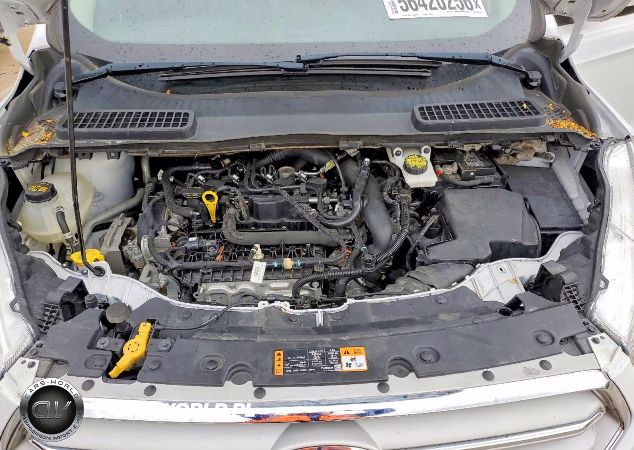 2019 Ford Escape Se VIN:1FMCU9GD3KUB99700 - 12