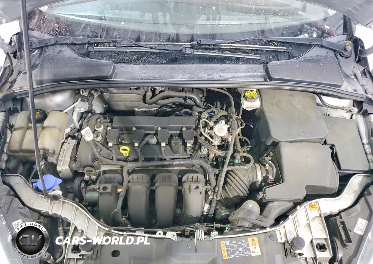 2018 Ford Focus Se VIN:1FADP3F20JL214628 - 11
