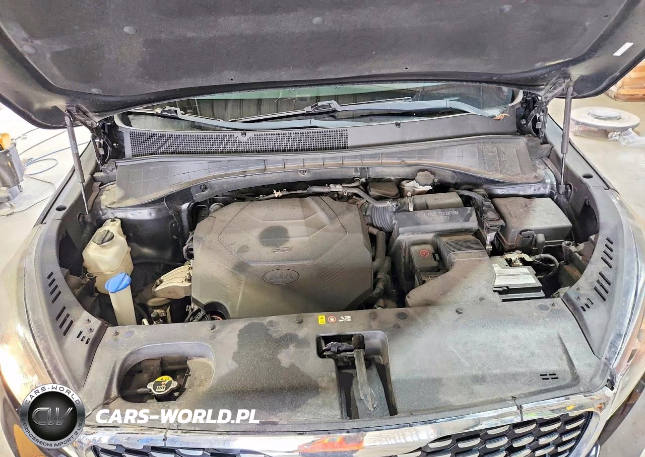2019 Kia Sorento Sx V6 VIN:5XYPK4A55KG568073 - 12