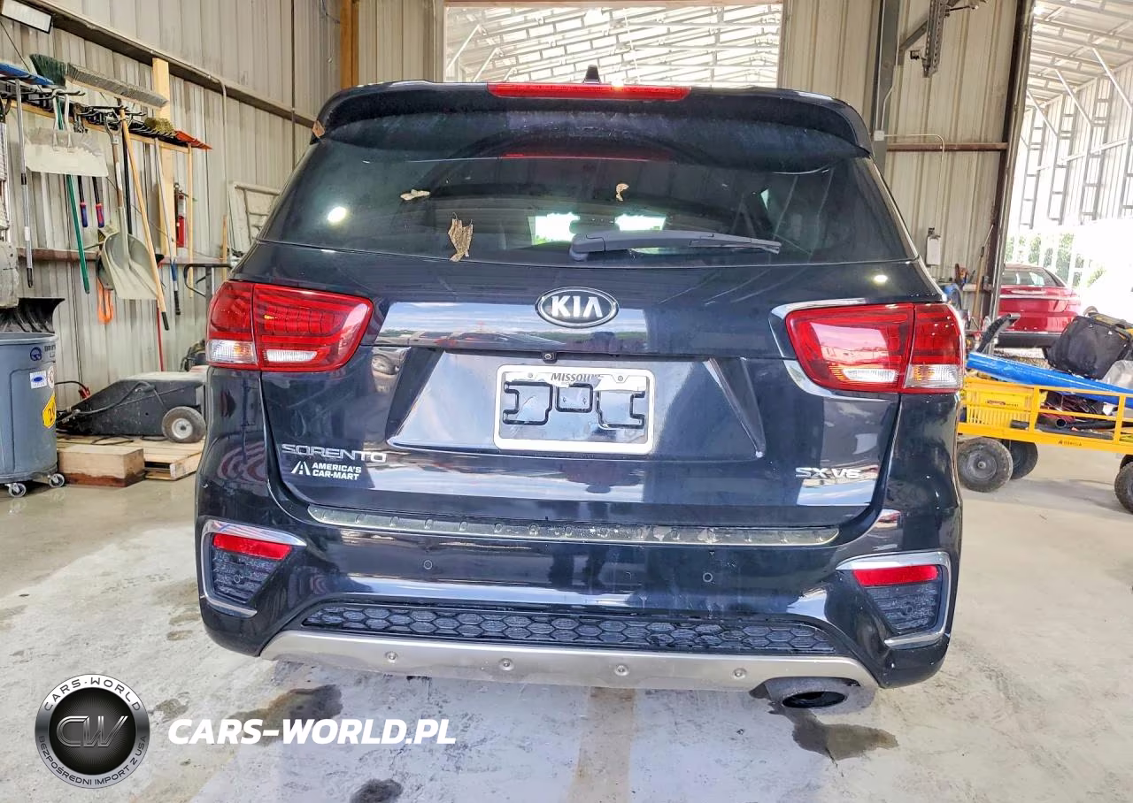 2019 Kia Sorento Sx V6 VIN:5XYPK4A55KG568073 - 6
