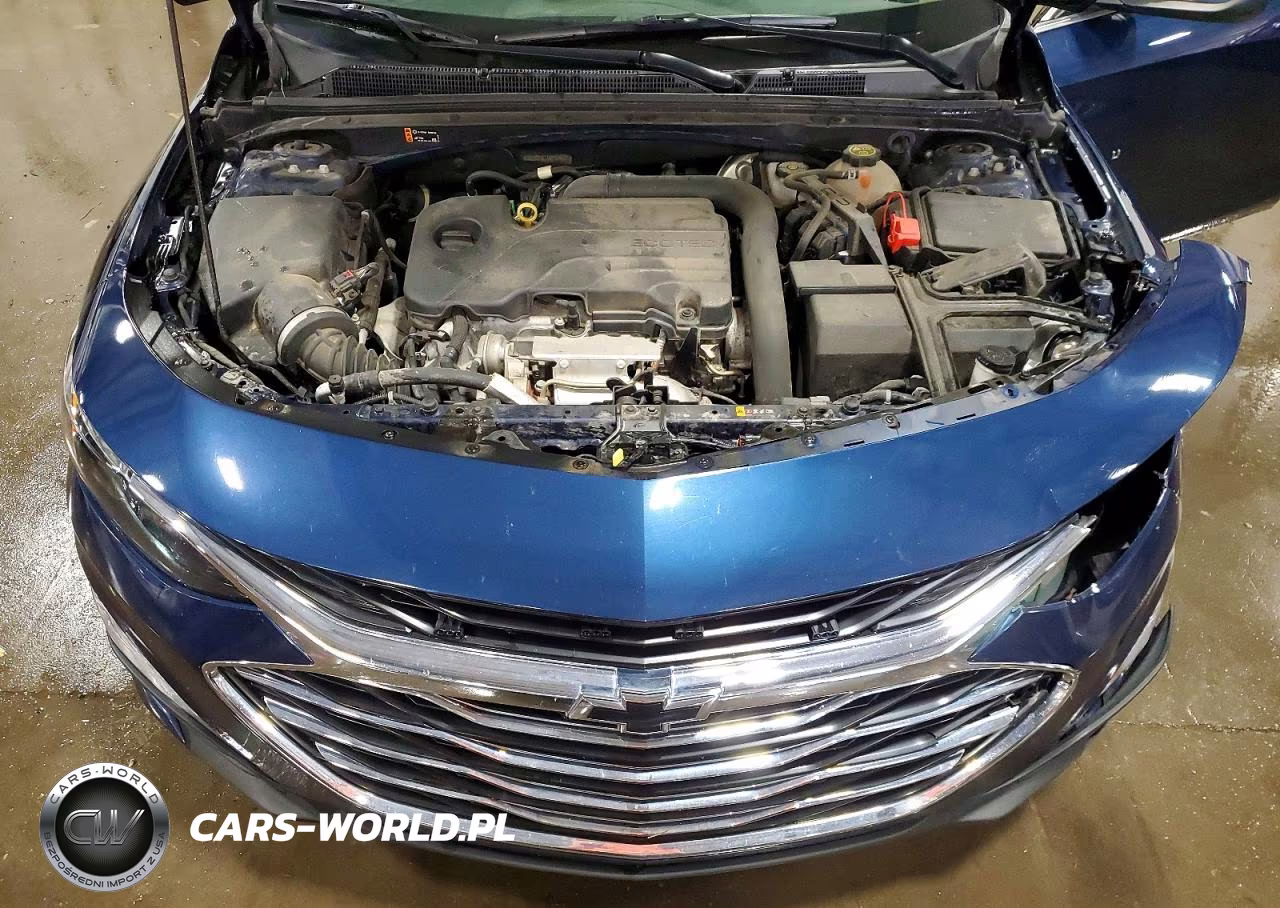 2021 Chevrolet Malibu Lt VIN:1G1ZD5ST7MF014831 - 11