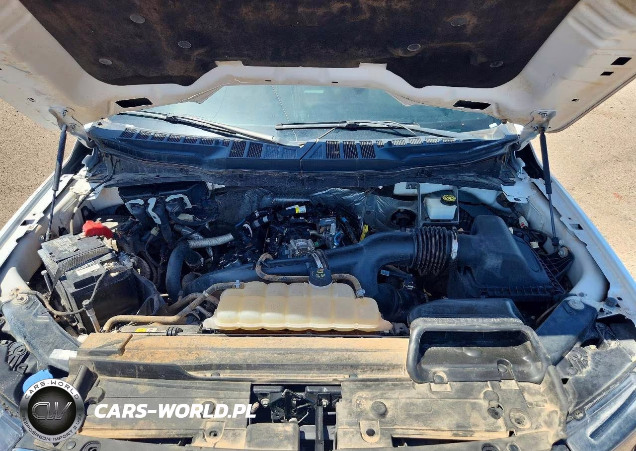 2023 Ford F150 Supercrew VIN:1FTEW1CP7PKE38869 - 11