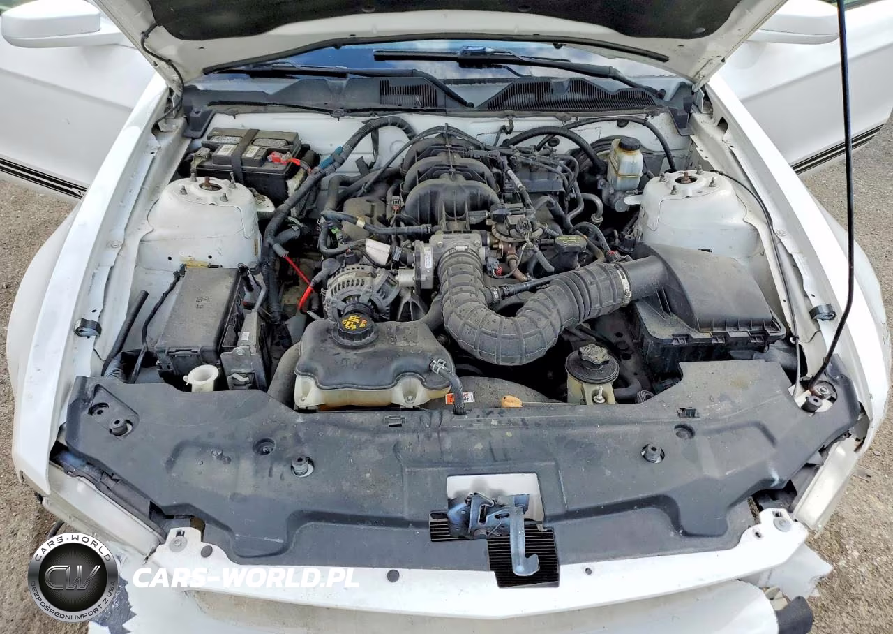 2010 Ford Mustang VIN:1ZVBP8EN8A5167926 - 11