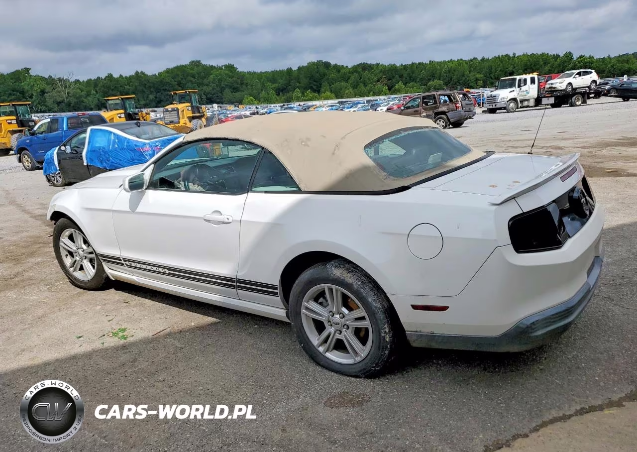 2010 Ford Mustang VIN:1ZVBP8EN8A5167926 - 2