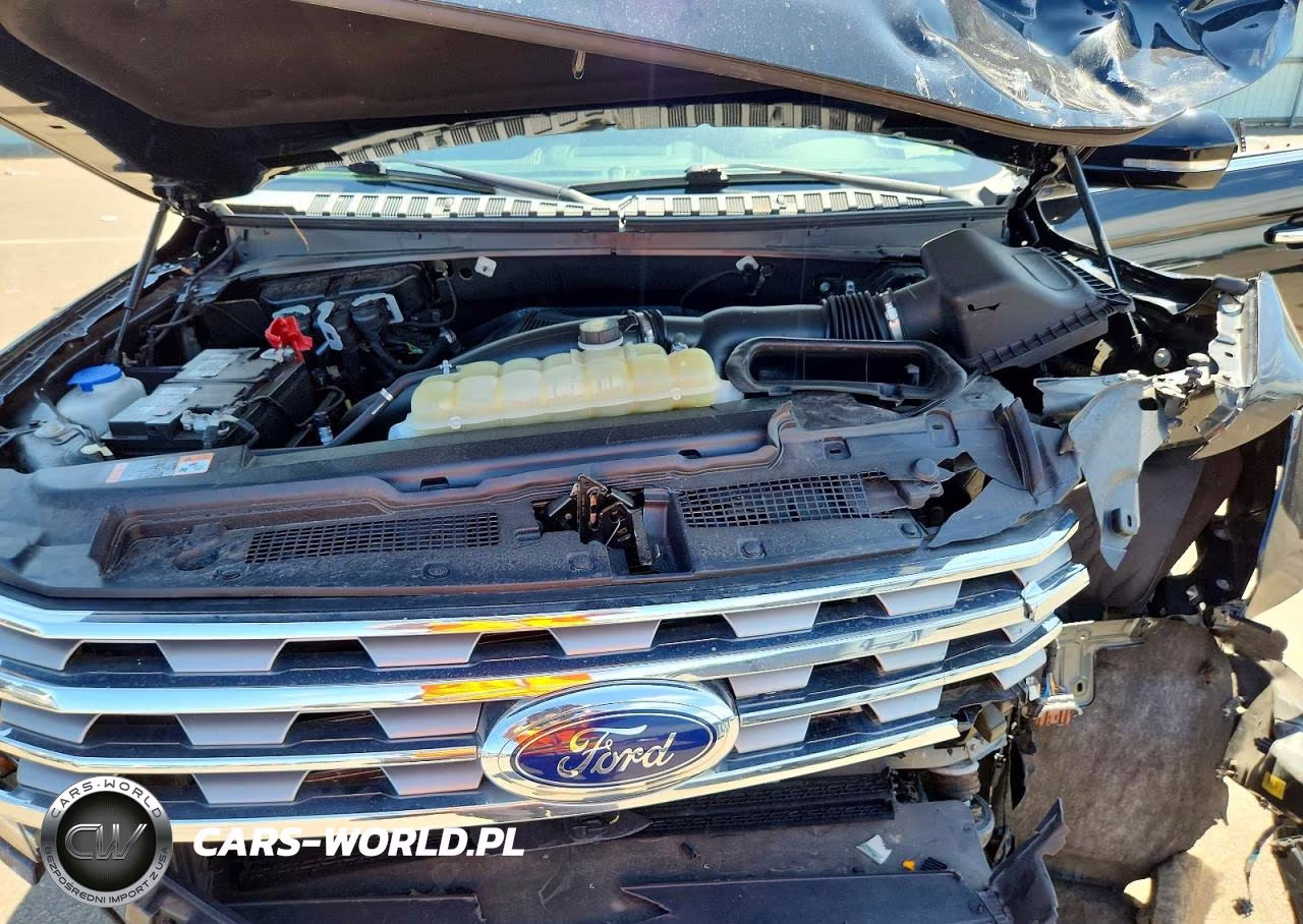 2020 Ford Expedition Limited VIN:1FMJU2AT6LEA81828 - 12