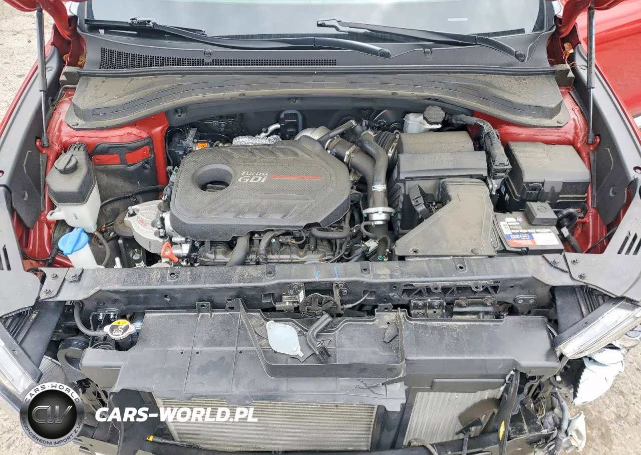 2019 Hyundai Santa Fe Ultimate 2.0T VIN:5NMS53AA5KH051502 - 12
