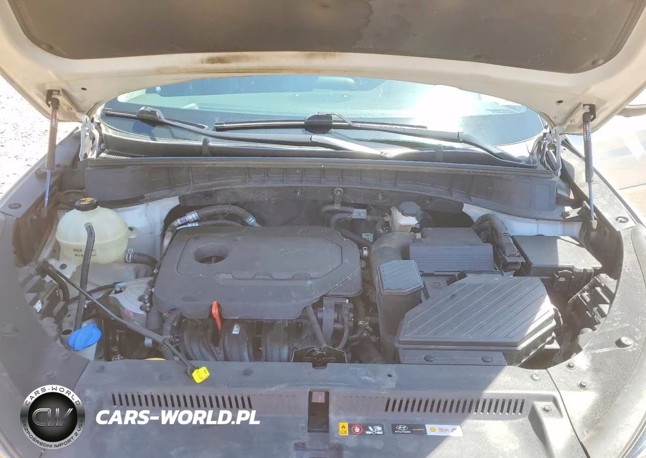 2019 Hyundai Tucson Limited VIN:KM8J3CAL4KU998585 - 12