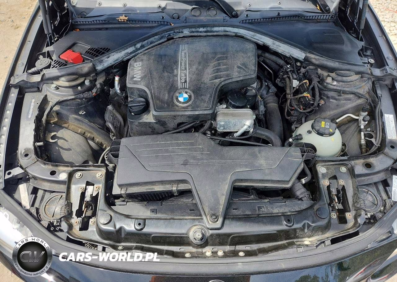 2014 BMW 320 I xDrive VIN:WBA3C3G54ENS72128 - 11