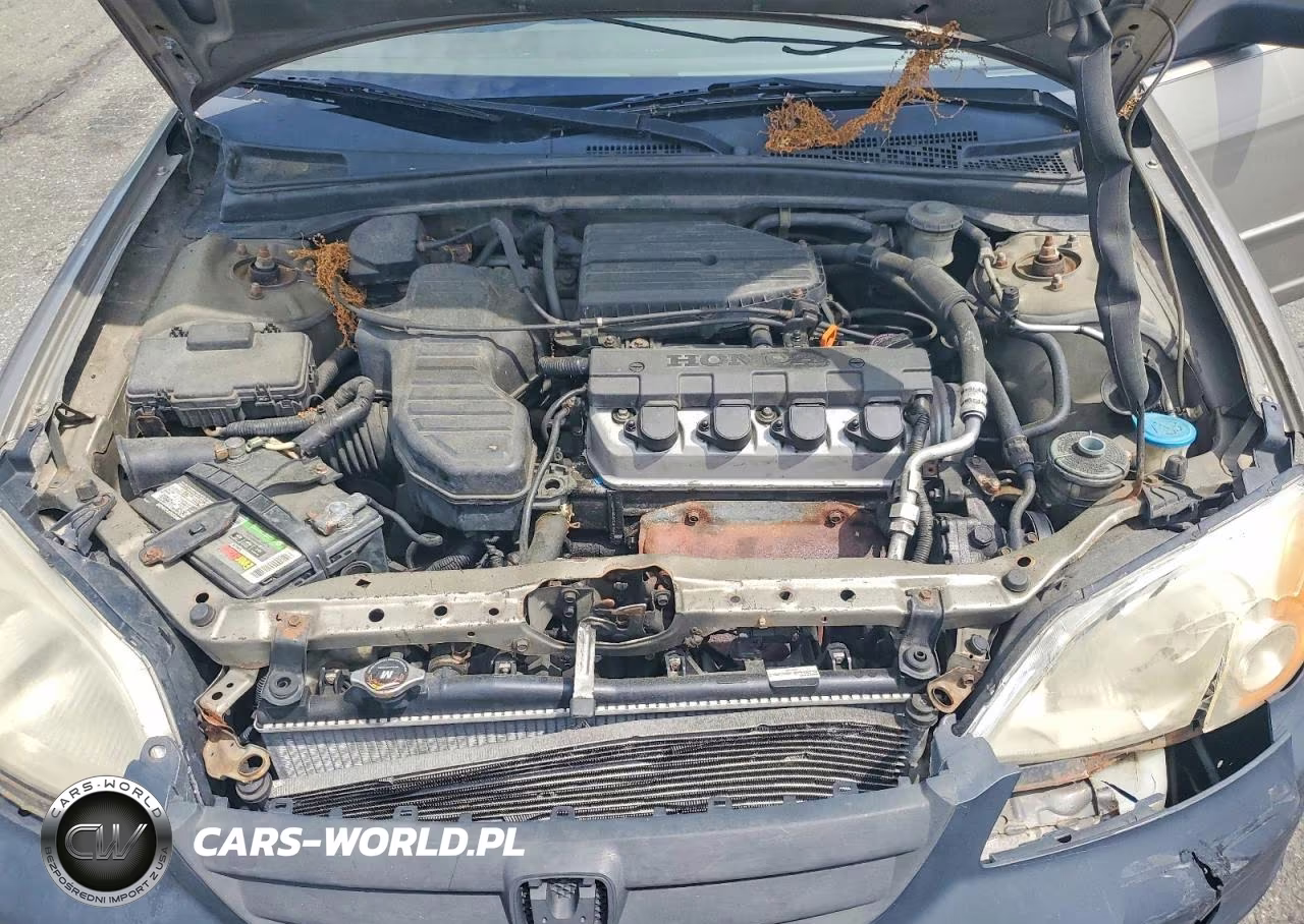 2003 Honda Civic Lx VIN:2HGES16533H517142 - 11