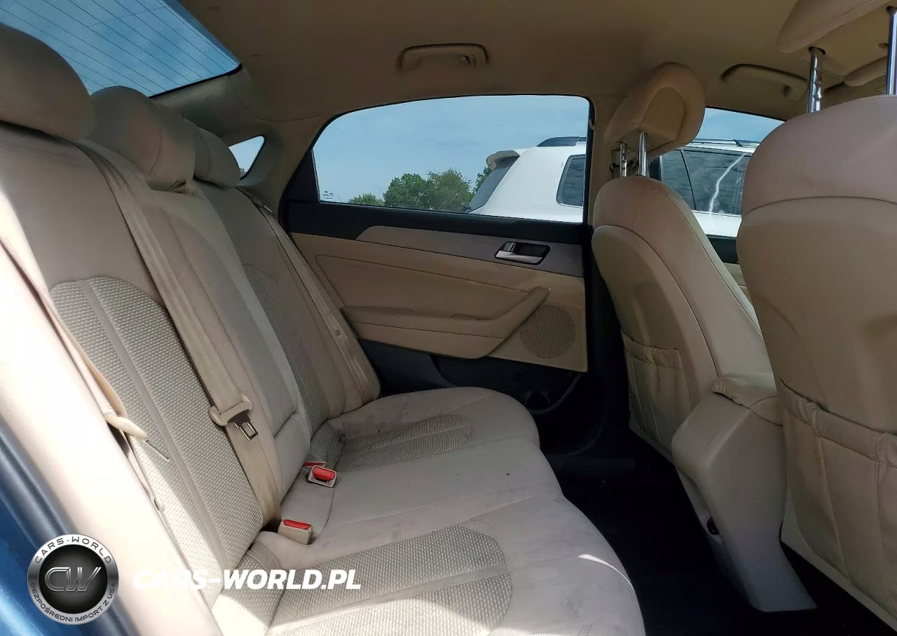 2016 Hyundai Sonata Eco VIN:5NPE24AA7GH433102 - 10