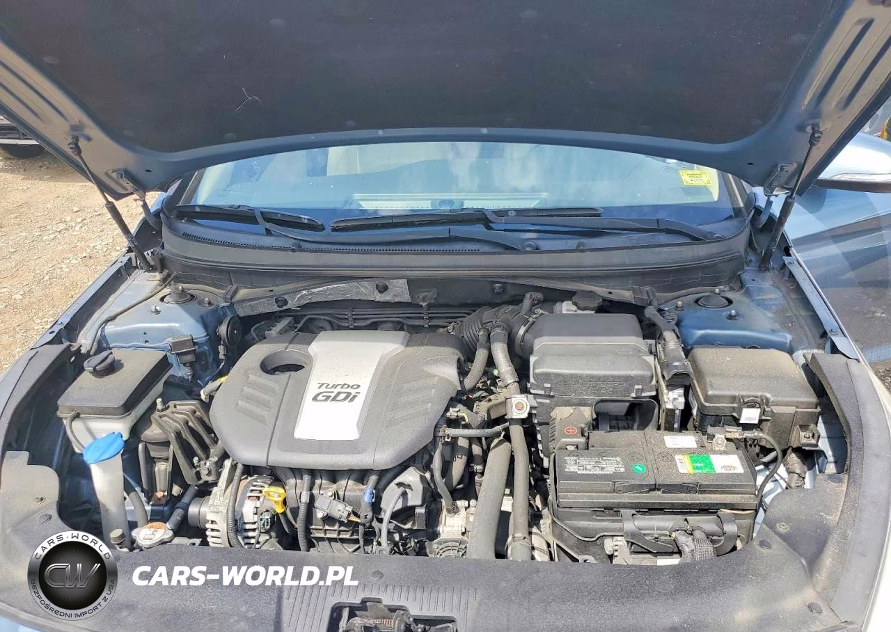 2016 Hyundai Sonata Eco VIN:5NPE24AA7GH433102 - 11