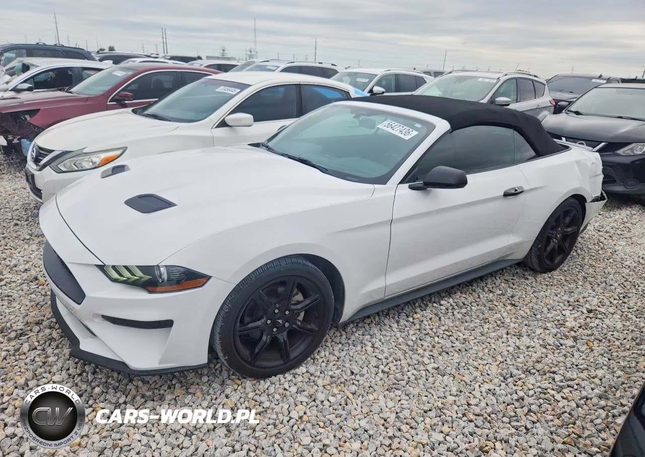2019 Ford Mustang