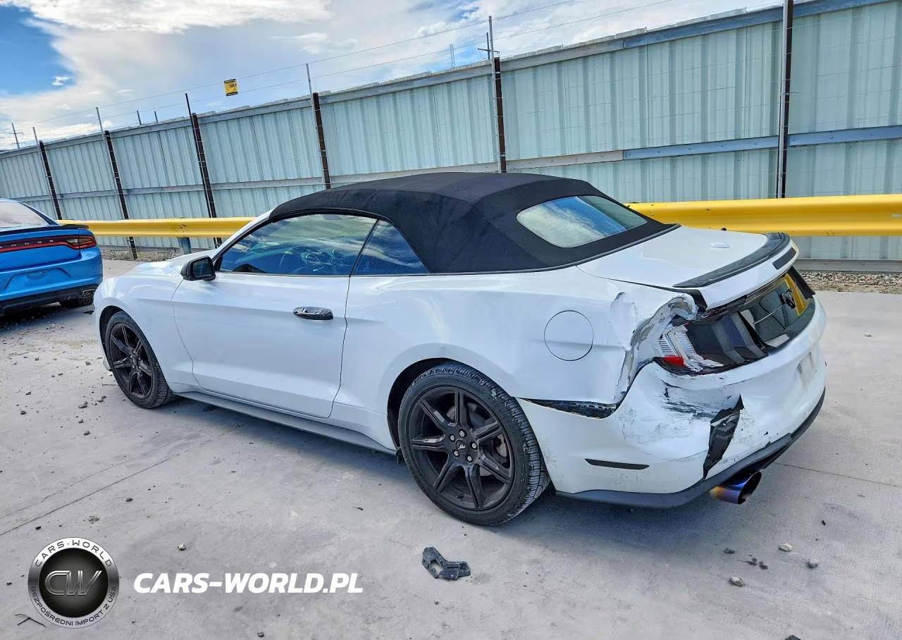 2019 Ford Mustang VIN:1FATP8UH0K5191602 - 2