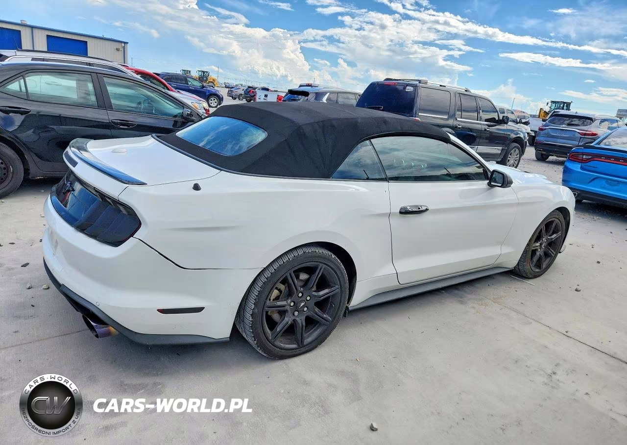 2019 Ford Mustang VIN:1FATP8UH0K5191602 - 3