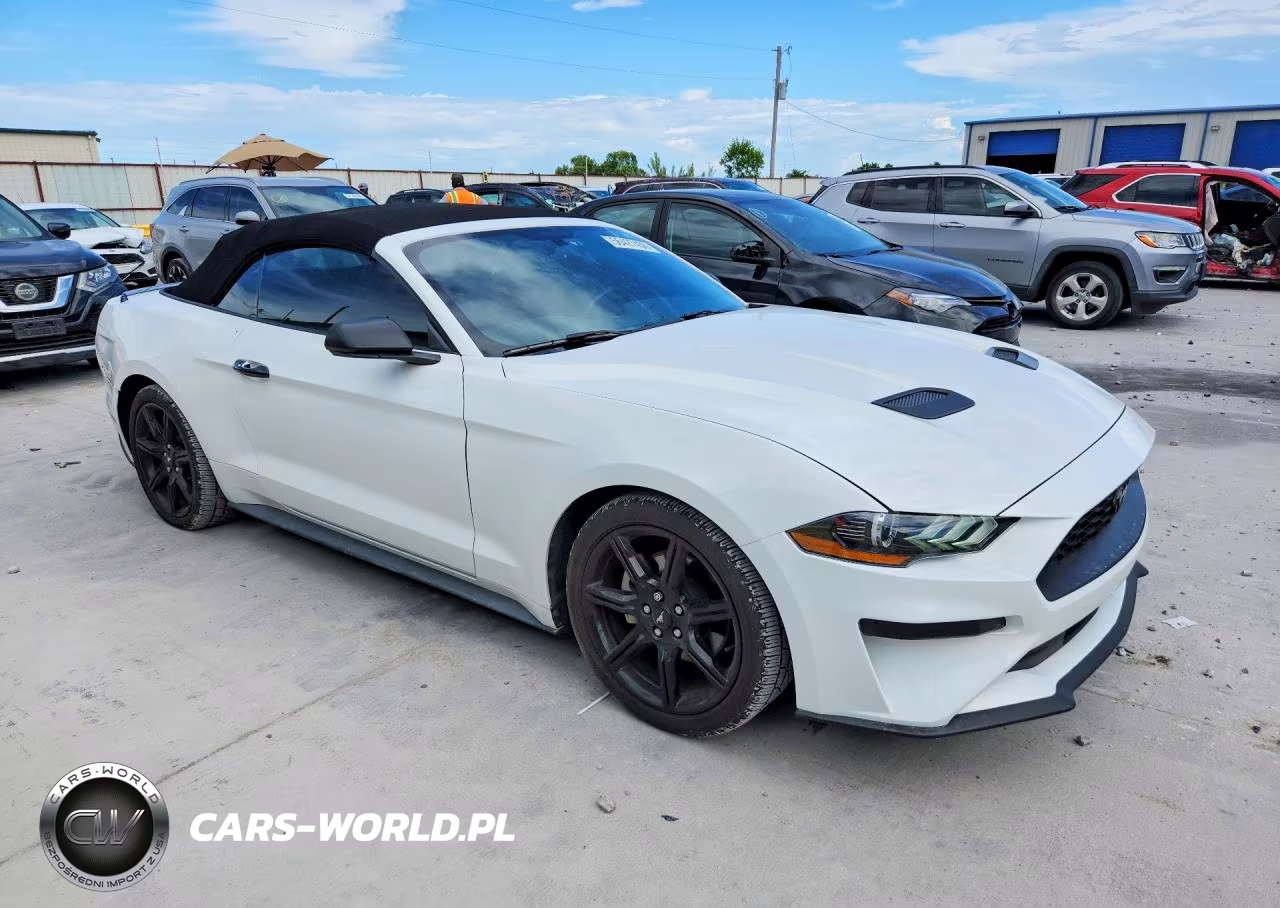 2019 Ford Mustang VIN:1FATP8UH0K5191602 - 4