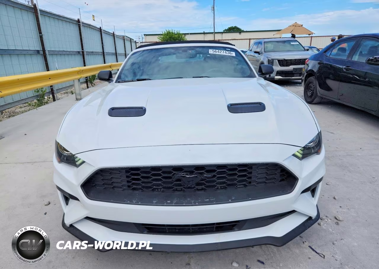 2019 Ford Mustang VIN:1FATP8UH0K5191602 - 5