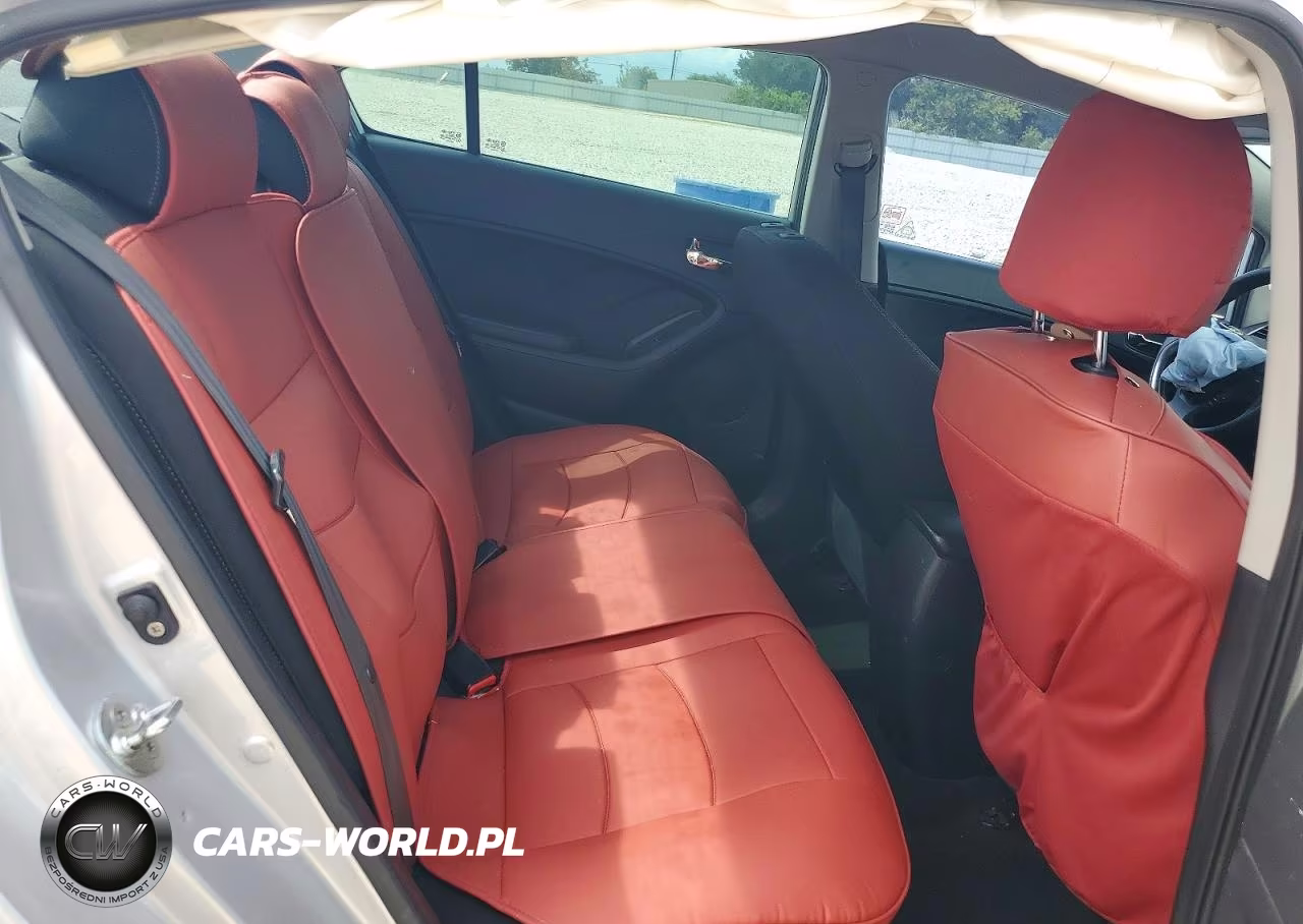 2016 Kia Forte Lx VIN:KNAFK4A67G5466209 - 10