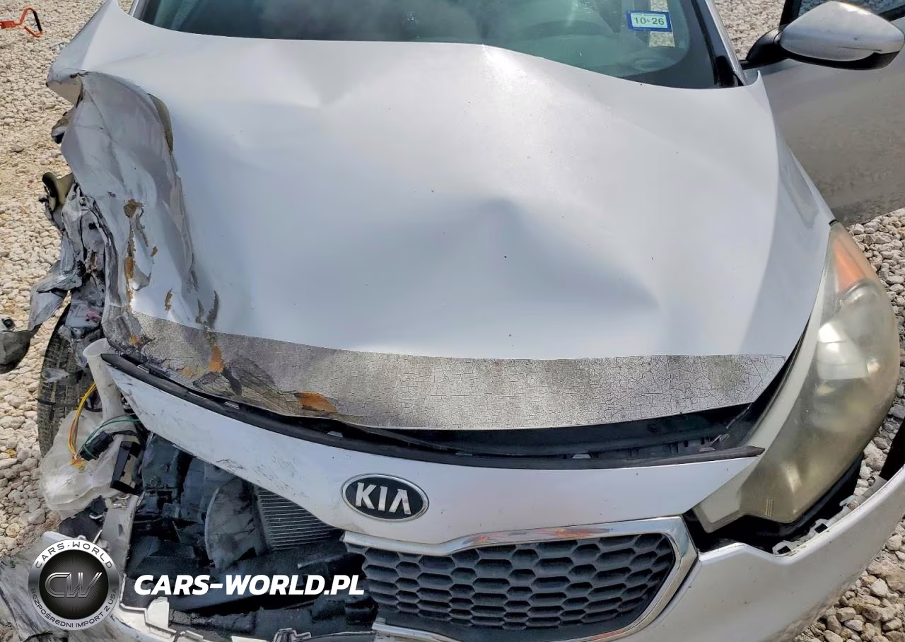 2016 Kia Forte Lx VIN:KNAFK4A67G5466209 - 11