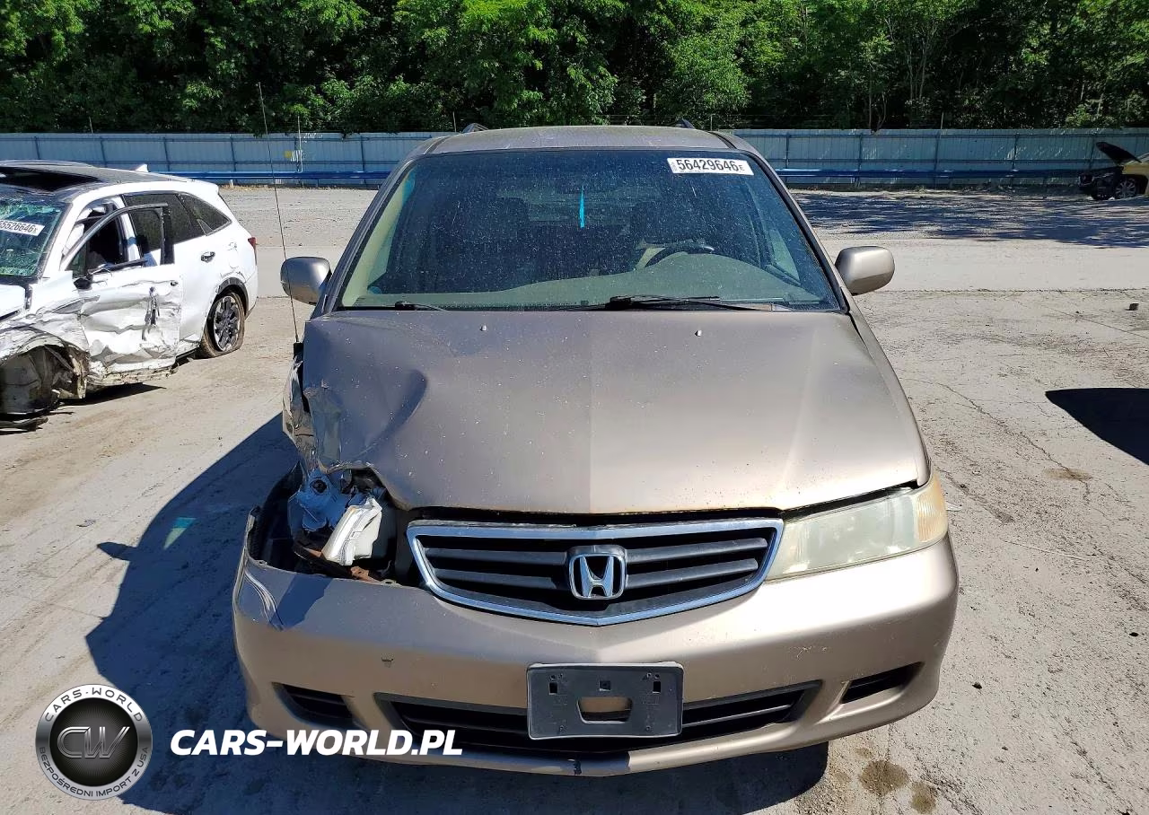 2003 Honda Odyssey Exl VIN:5FNRL18983B045734 - 5