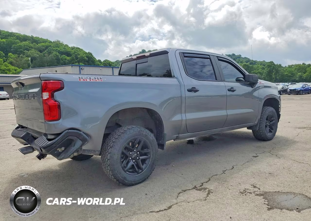 2020 Chevrolet Silverado K1500 Lt Trail Boss VIN:1GCPYFED7LZ341370 - 3