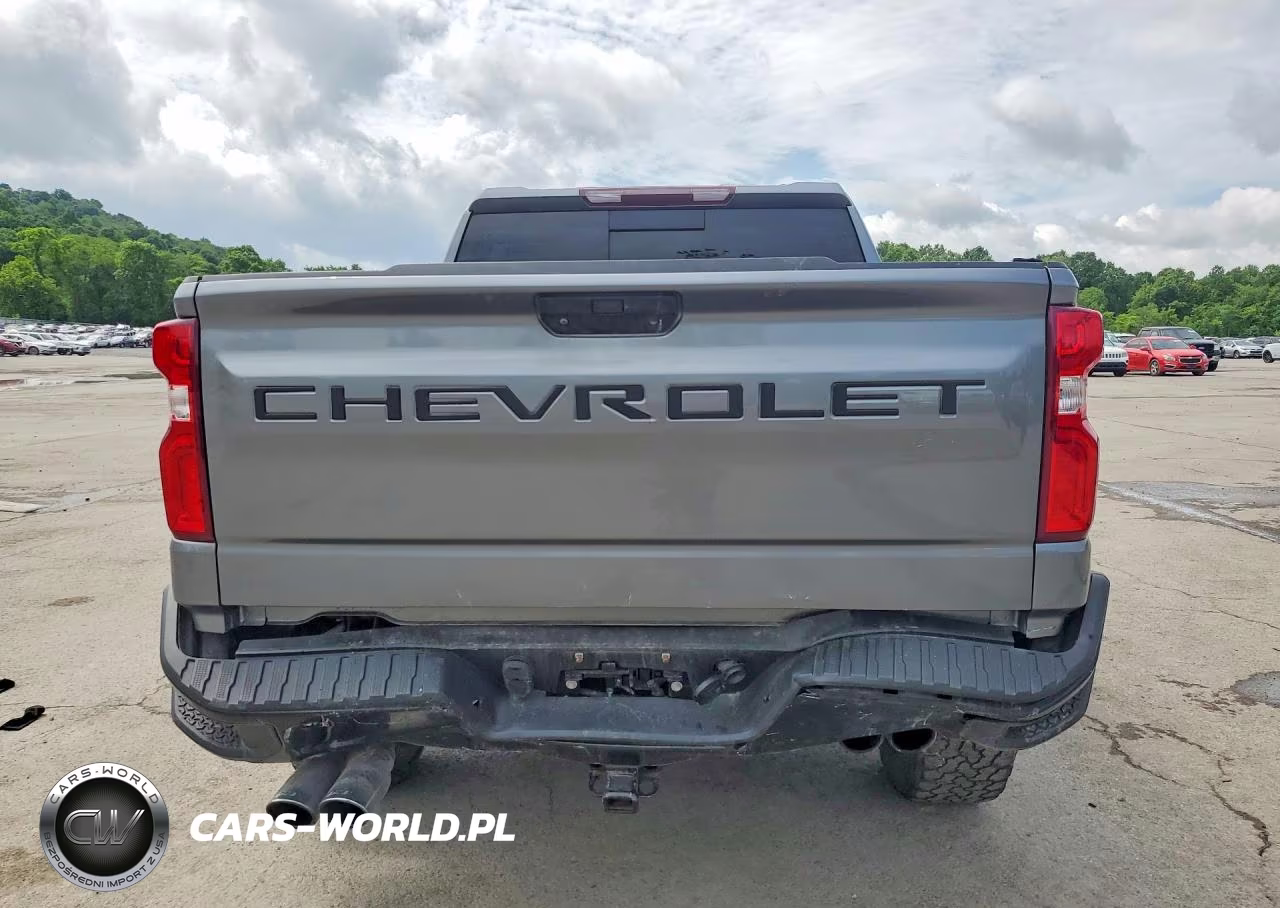 2020 Chevrolet Silverado K1500 Lt Trail Boss VIN:1GCPYFED7LZ341370 - 6
