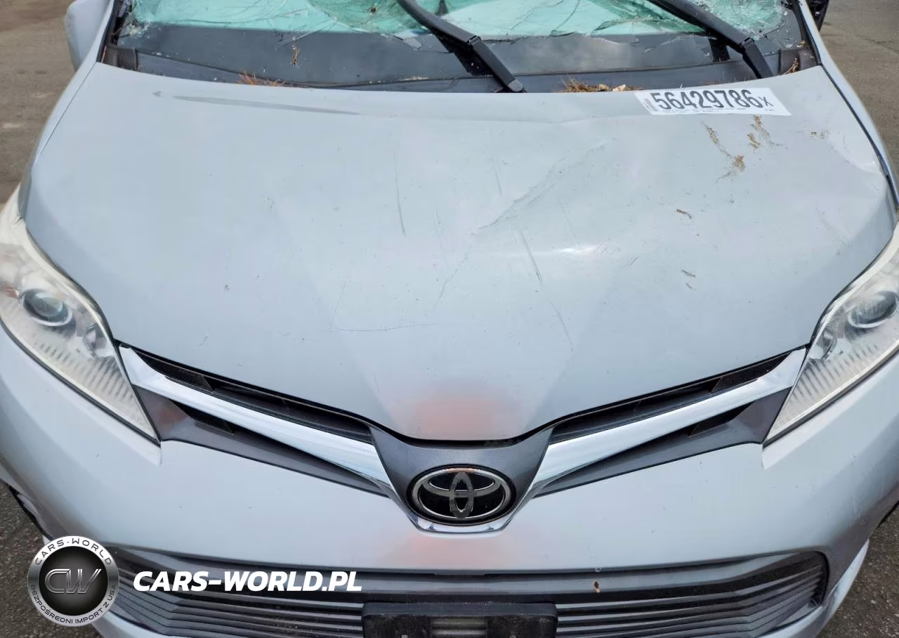 2019 Toyota Sienna Xle 8-Passenger VIN:5TDYZ3DC5KS980517 - 12