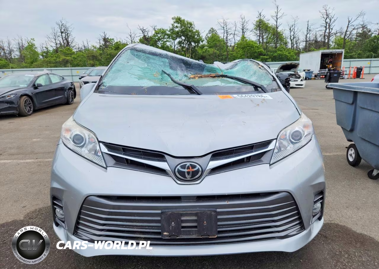 2019 Toyota Sienna Xle 8-Passenger VIN:5TDYZ3DC5KS980517 - 5