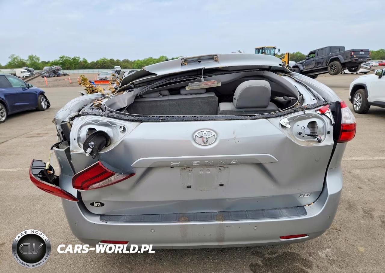 2019 Toyota Sienna Xle 8-Passenger VIN:5TDYZ3DC5KS980517 - 6