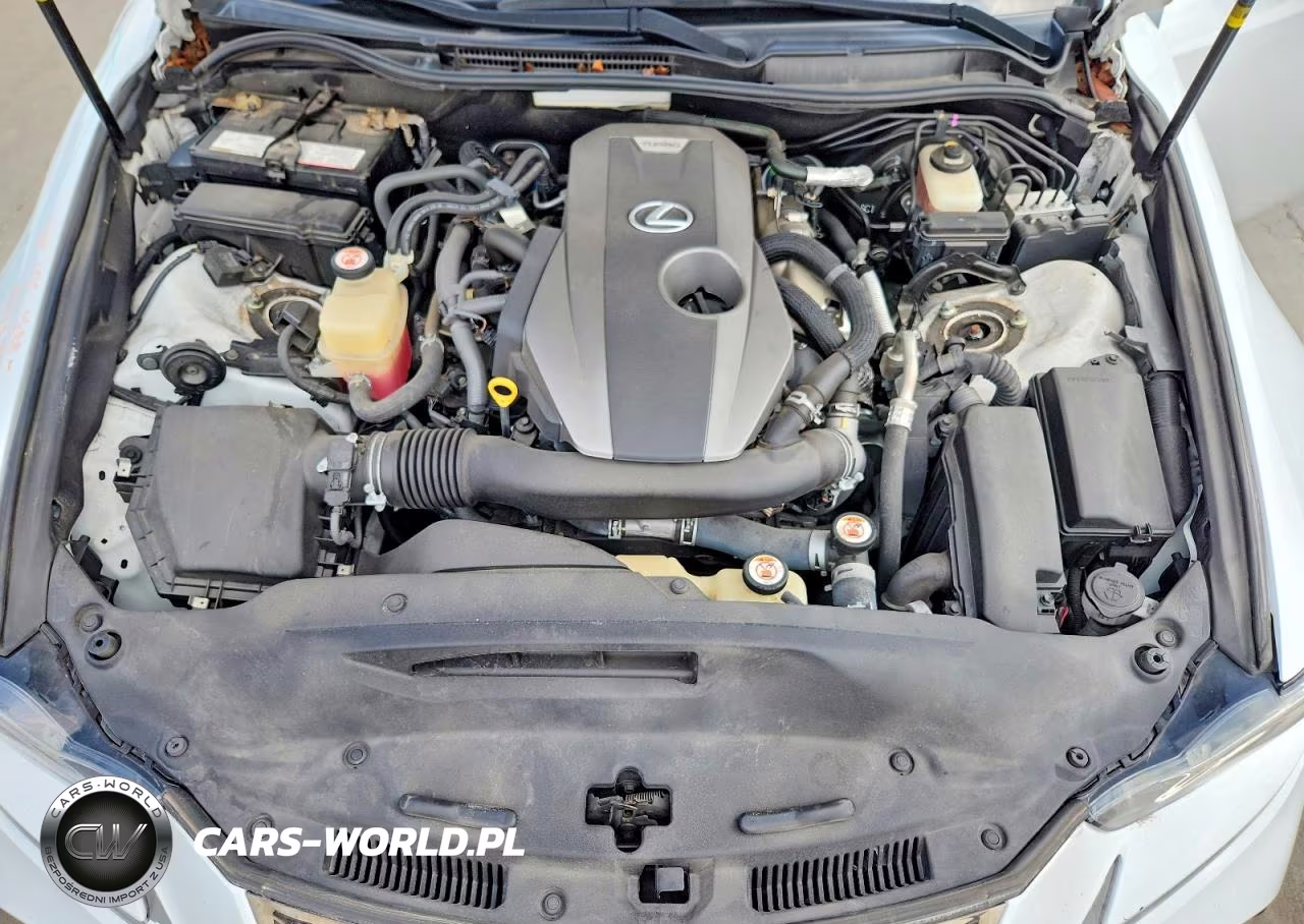 2019 Lexus Is 300 VIN:JTHBA1D20K5084171 - 11