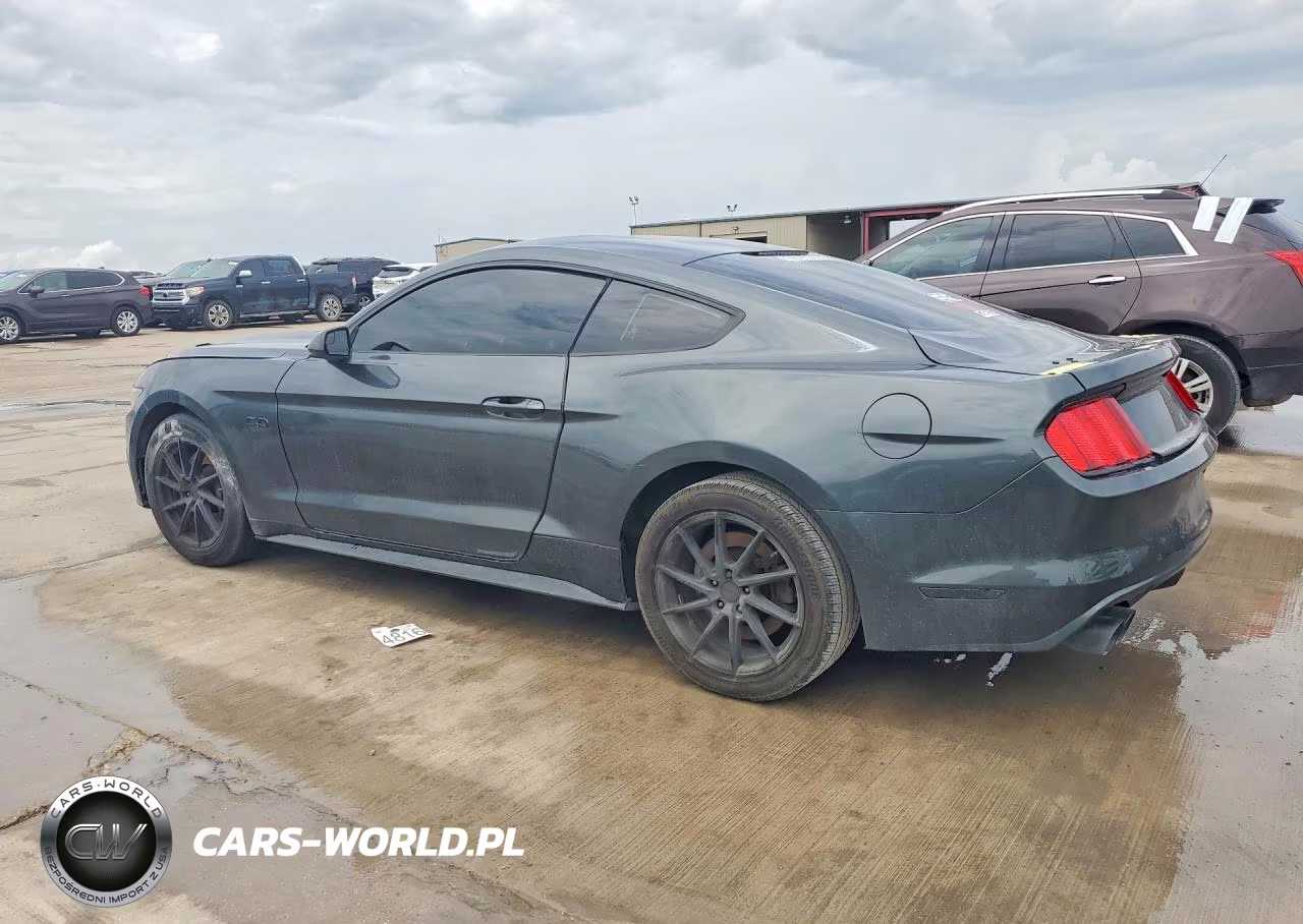 2015 Ford Mustang Gt VIN:1FA6P8CF0F5354901 - 2