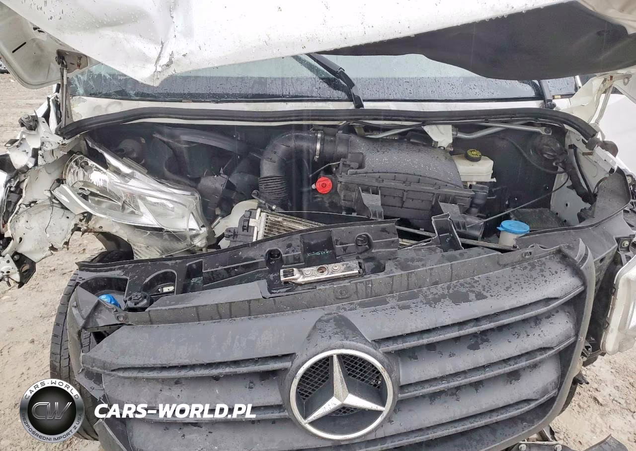 2022 Mercedes Benz Sprinter 2500 VIN:W1Y4DCHY4NT090580 - 11