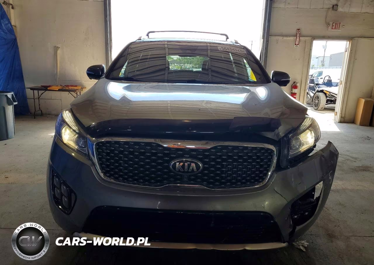 2016 Kia Sorento Sx Limited VIN:5XYPKDA15GG030655 - 5