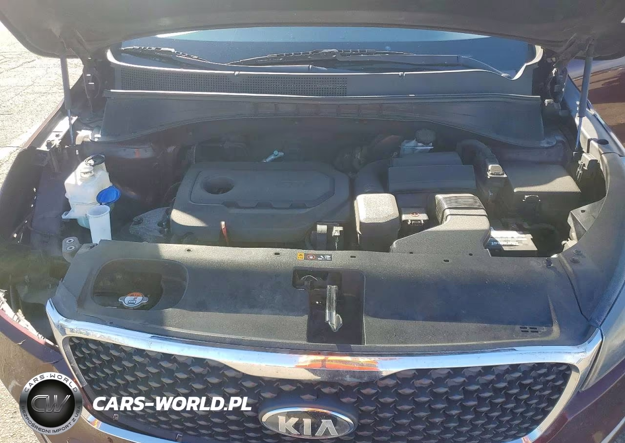 2017 Kia Sorento Lx VIN:5XYPG4A31HG193226 - 12