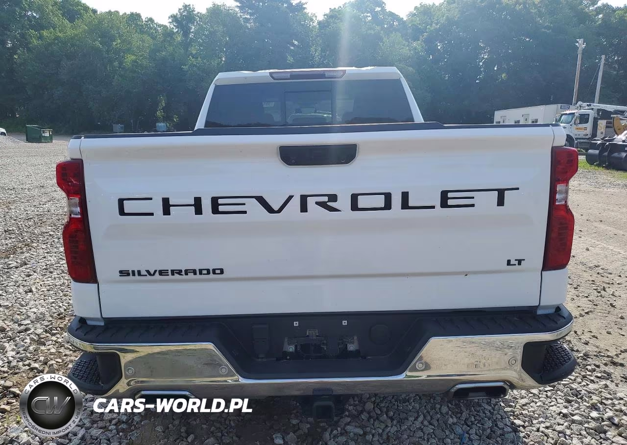 2024 Chevrolet Silverado K1500 Lt VIN:3GCUDDED3RG459895 - 6