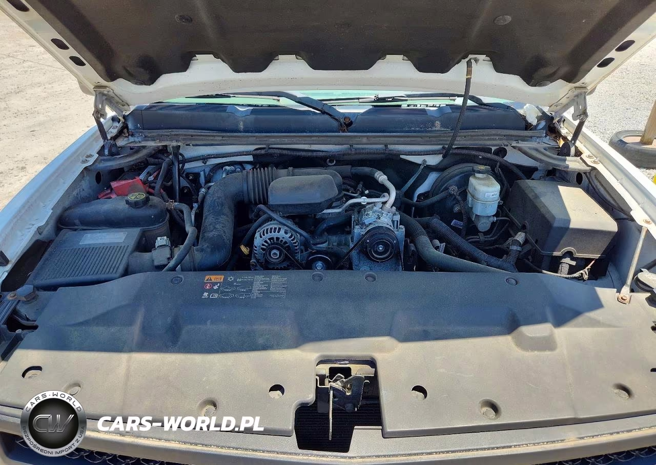 2013 Chevrolet Silverado C1500 VIN:1GCNCPEX0DZ900264 - 11