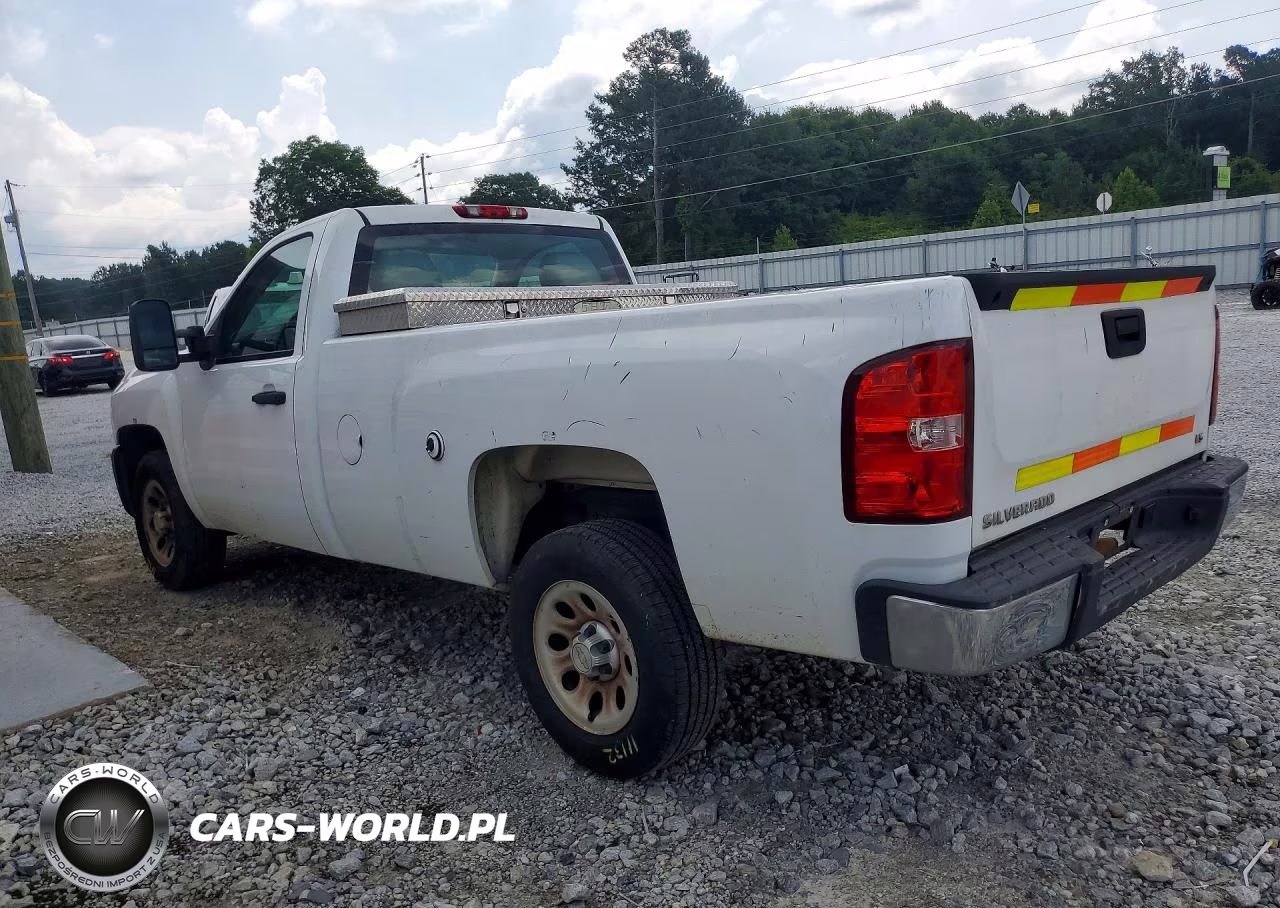 2013 Chevrolet Silverado C1500 VIN:1GCNCPEX0DZ900264 - 2