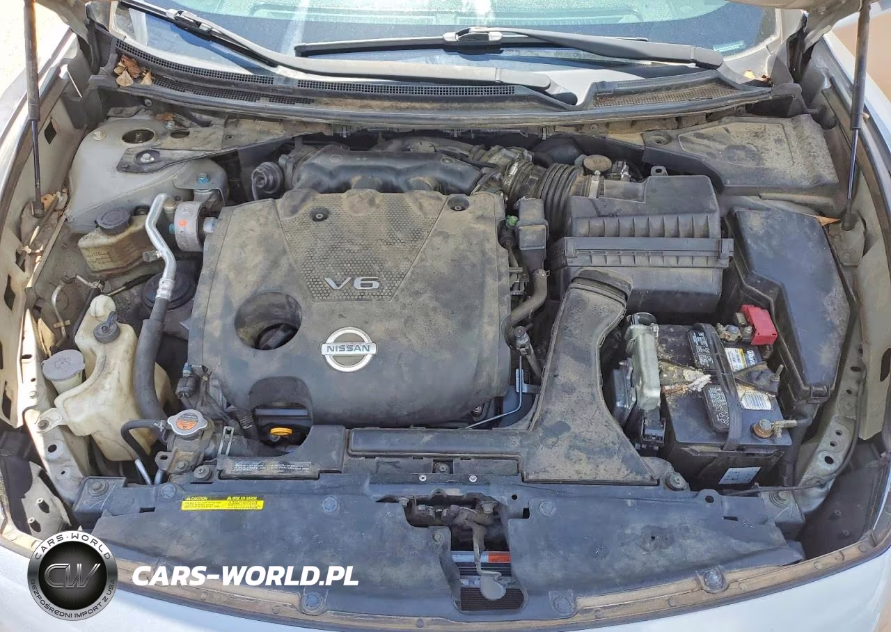 2009 Nissan Maxima 3.5 S VIN:1N4AA51E69C821646 - 11