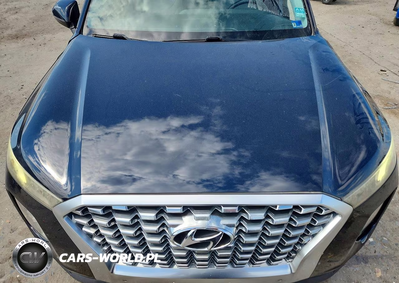 2020 Hyundai Palisade Sel VIN:KM8R4DHEXLU079270 - 12
