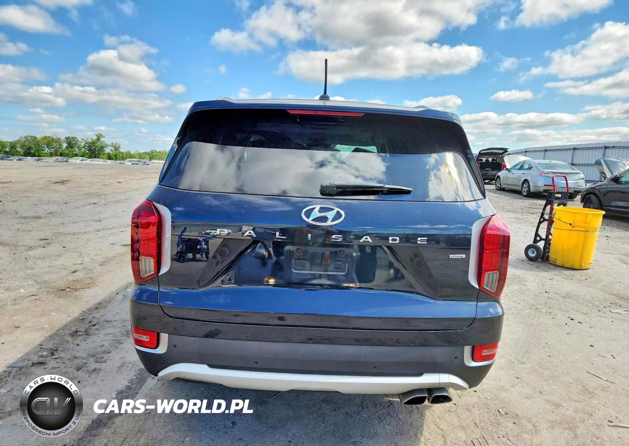 2020 Hyundai Palisade Sel VIN:KM8R4DHEXLU079270 - 6