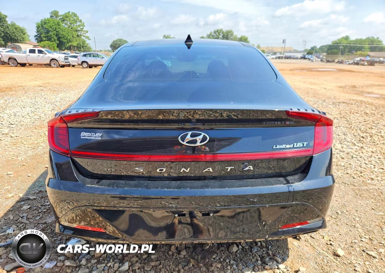 2020 Hyundai Sonata Limited VIN:5NPEH4J24LH031667 - 6