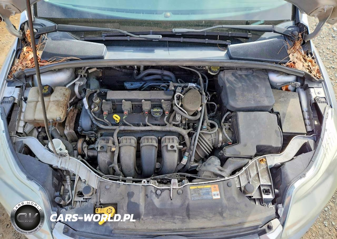 2013 Ford Focus Se VIN:1FADP3F28DL373398 - 11