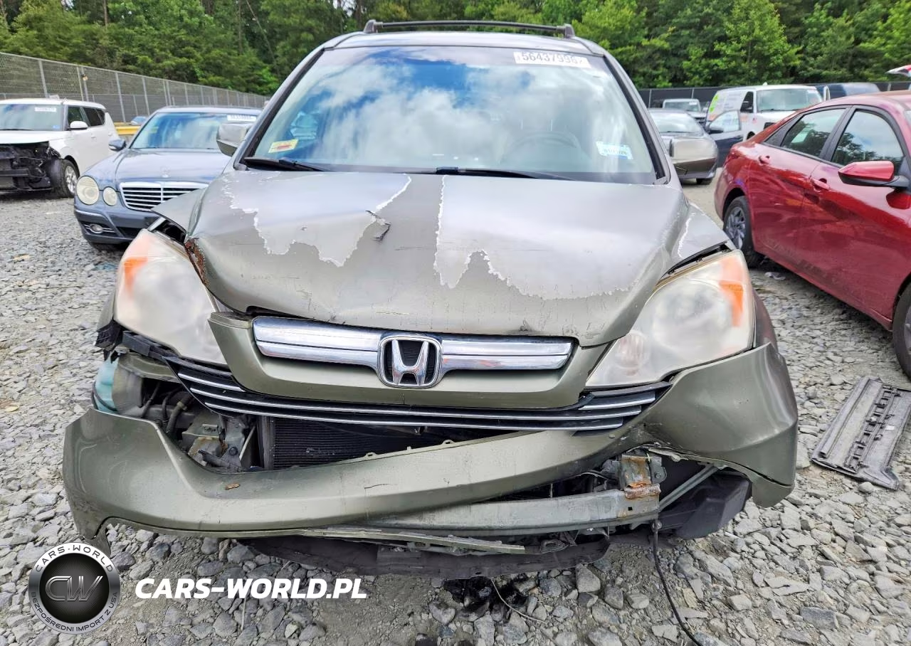 2009 Honda Cr-V Exl VIN:JHLRE487X9C014259 - 5