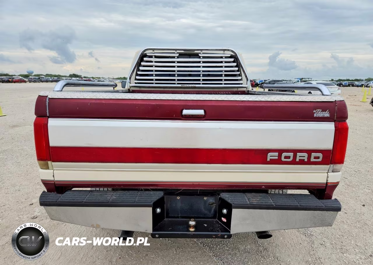 1989 Ford F150 VIN:1FTEX15N7KKB10059 - 6