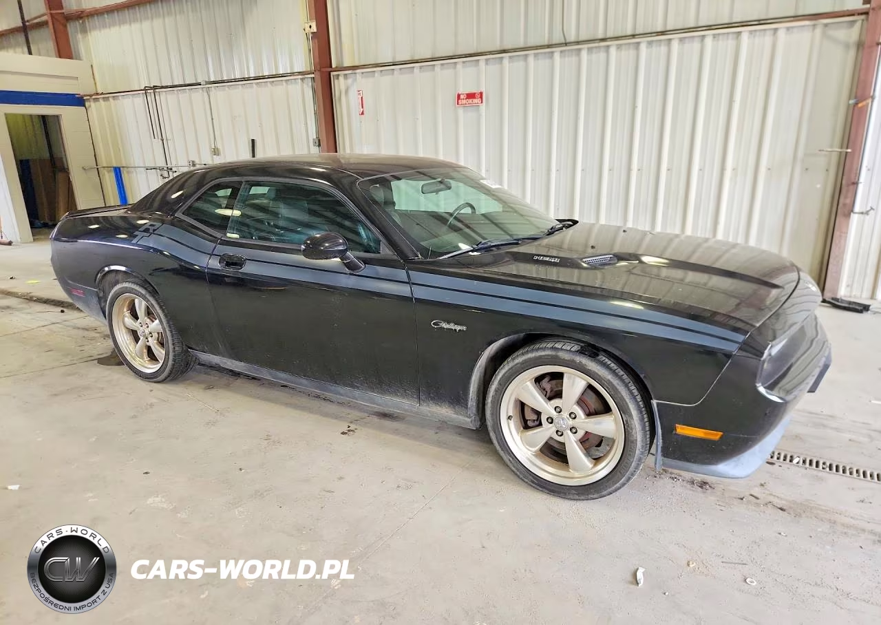 2010 Dodge Challenger VIN:2B3CJ5DT1AH241253 - 4
