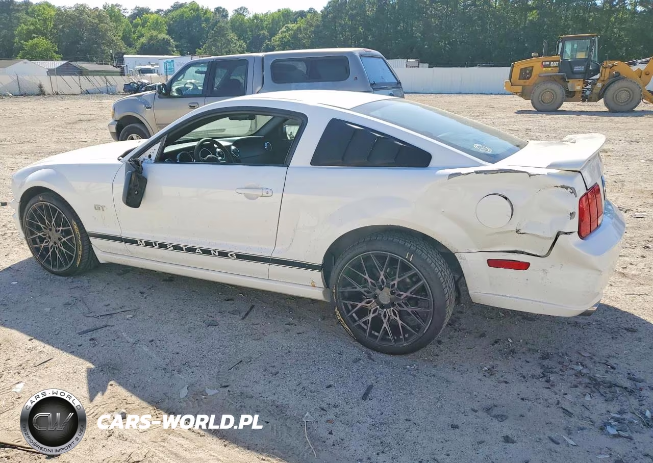 2006 Ford Mustang Gt VIN:1ZVFT82H365209678 - 2