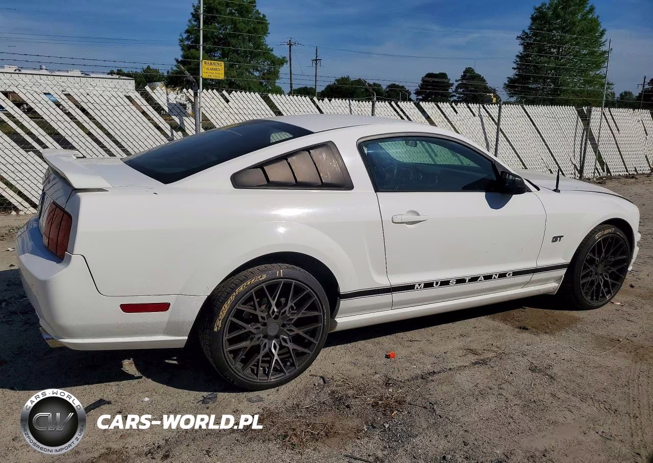 2006 Ford Mustang Gt VIN:1ZVFT82H365209678 - 3