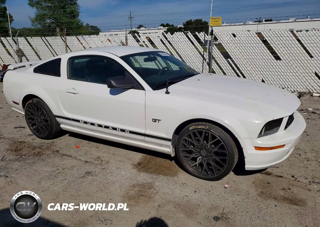 2006 Ford Mustang Gt VIN:1ZVFT82H365209678 - 4