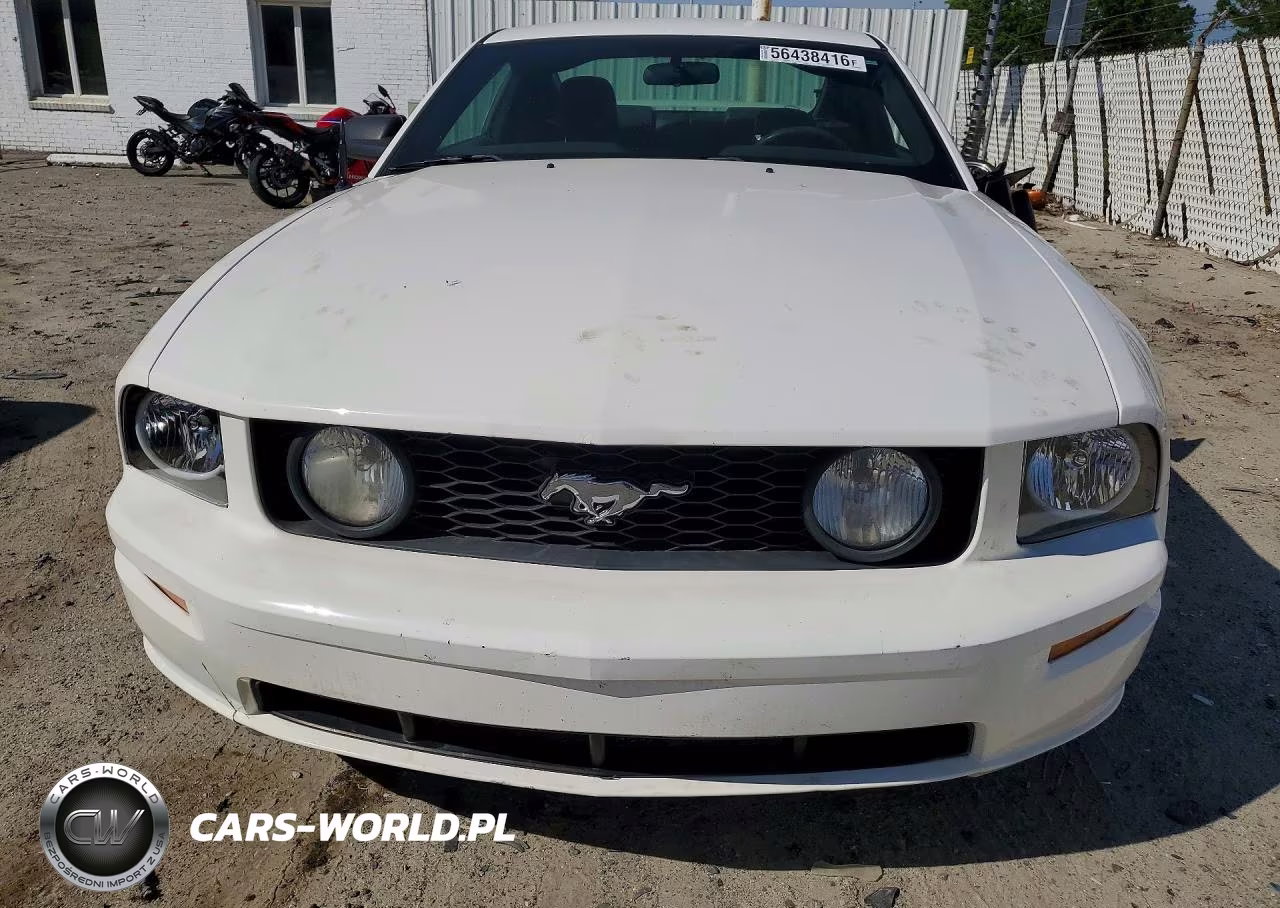 2006 Ford Mustang Gt VIN:1ZVFT82H365209678 - 5