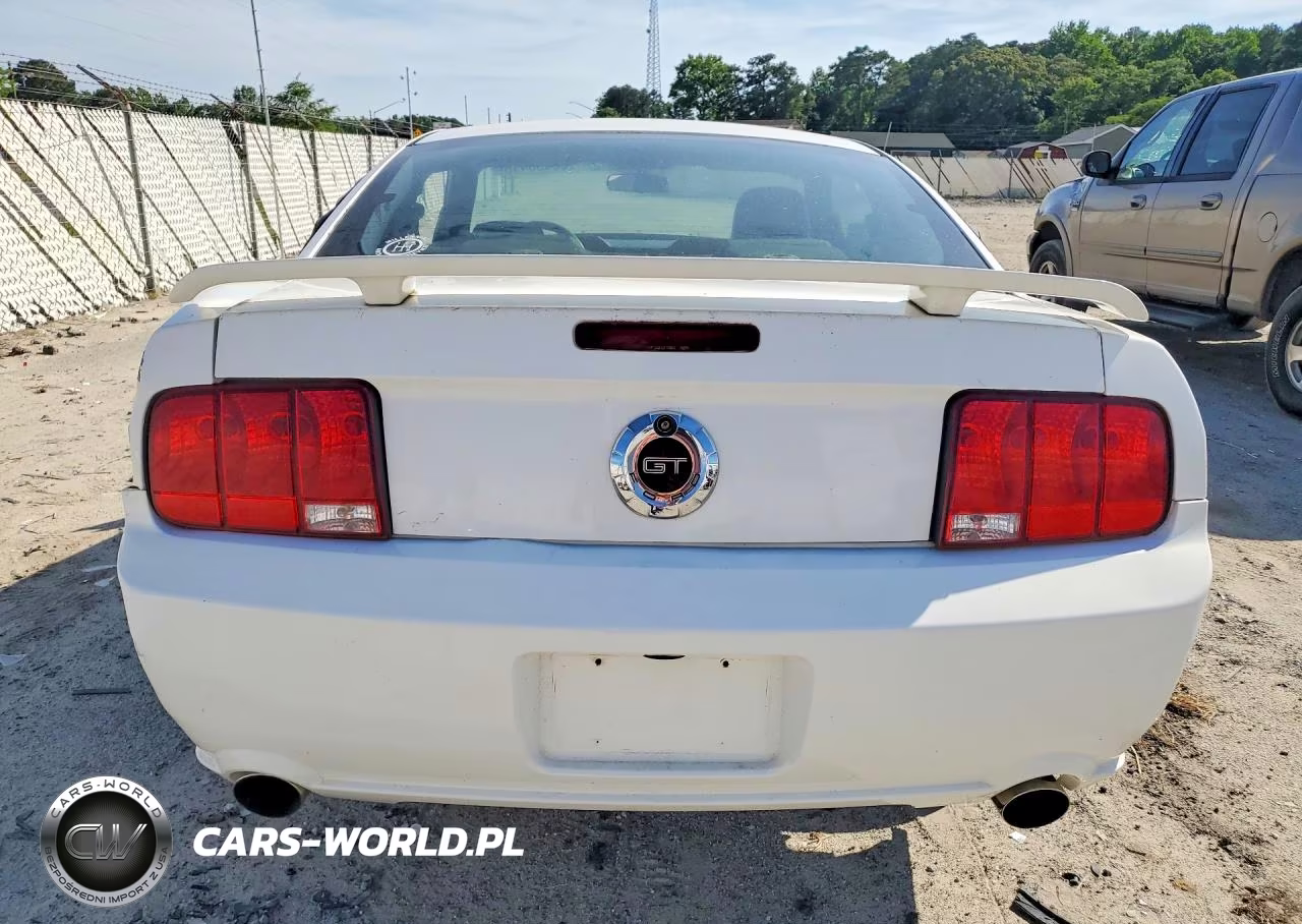 2006 Ford Mustang Gt VIN:1ZVFT82H365209678 - 6