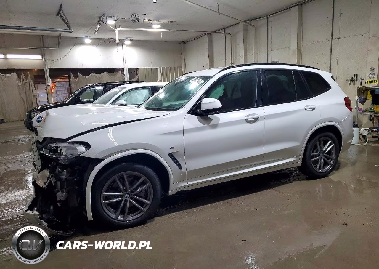 2019 BMW X3 xDrive30I – zdjęcie 1 z 13